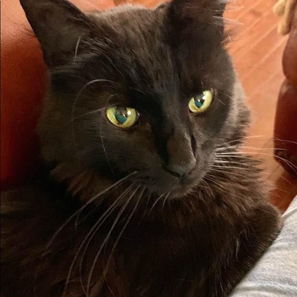 Meet your Posher, Ann - Picture 4 of 7